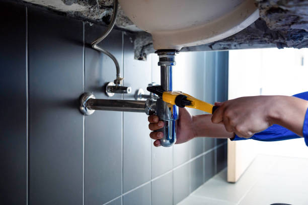 Best Plumbing Inspections & Maintenance in Shoreview, MN